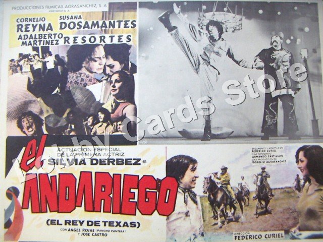 RESORTES/EL ANDARIEGO